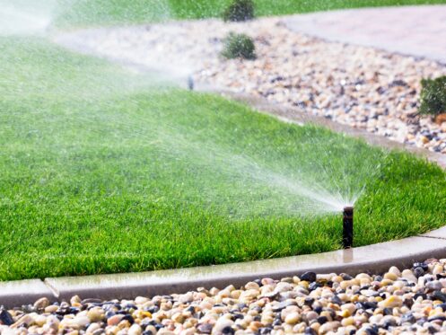 Lawn Services in Christiansburg, VA