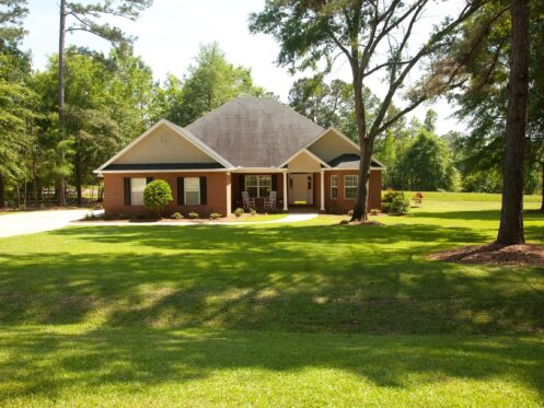 Arborist Consultations in Christiansburg, VA