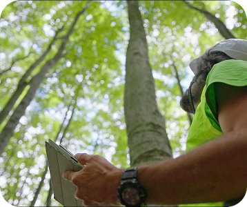 Disease diagnosis & treatment