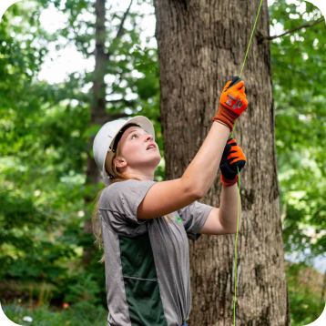 Tree Cabling and Bracing in Christiansburg, VA