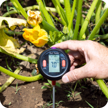 Soil Testing and pH Control for Your Lawn in the Christiansburg and Roanoke, VA Areas