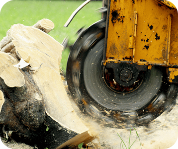 stump grinding