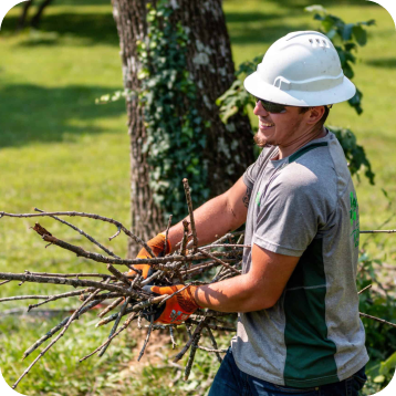 man carrying branches