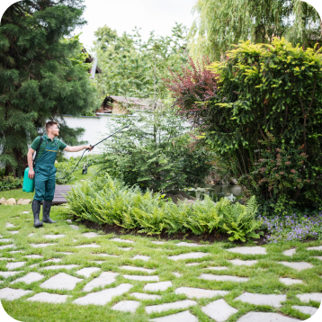 Tree Spraying in Christiansburg & Roanoke, VA