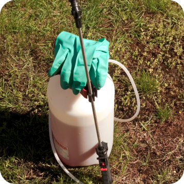Christiansburg and Roanoke, VA Crabgrass and Weed Control Services